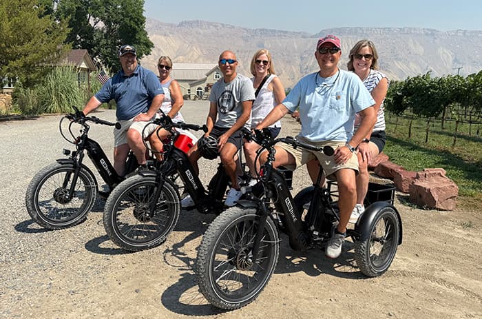 A group of six riders on eTrikes in front of a vineyard and mountains